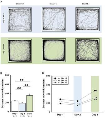 Reduced Efficacy of d-Amphetamine and 3,4-Methylenedioxymethamphetamine in Inducing Hyperactivity in Mice Lacking the Postsynaptic Scaffolding Protein SHANK1